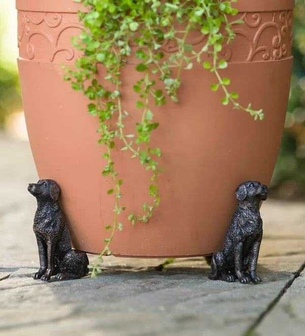 🔥Cute Animal Shaped Pots Feet(🔥set of 3)