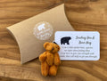 A Little Pocket Bear Hug