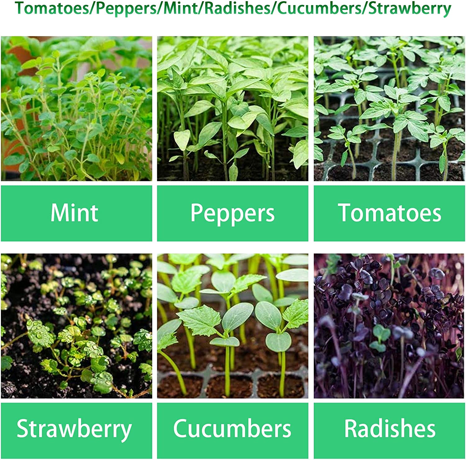 Seed Starter Trays with Grow Light