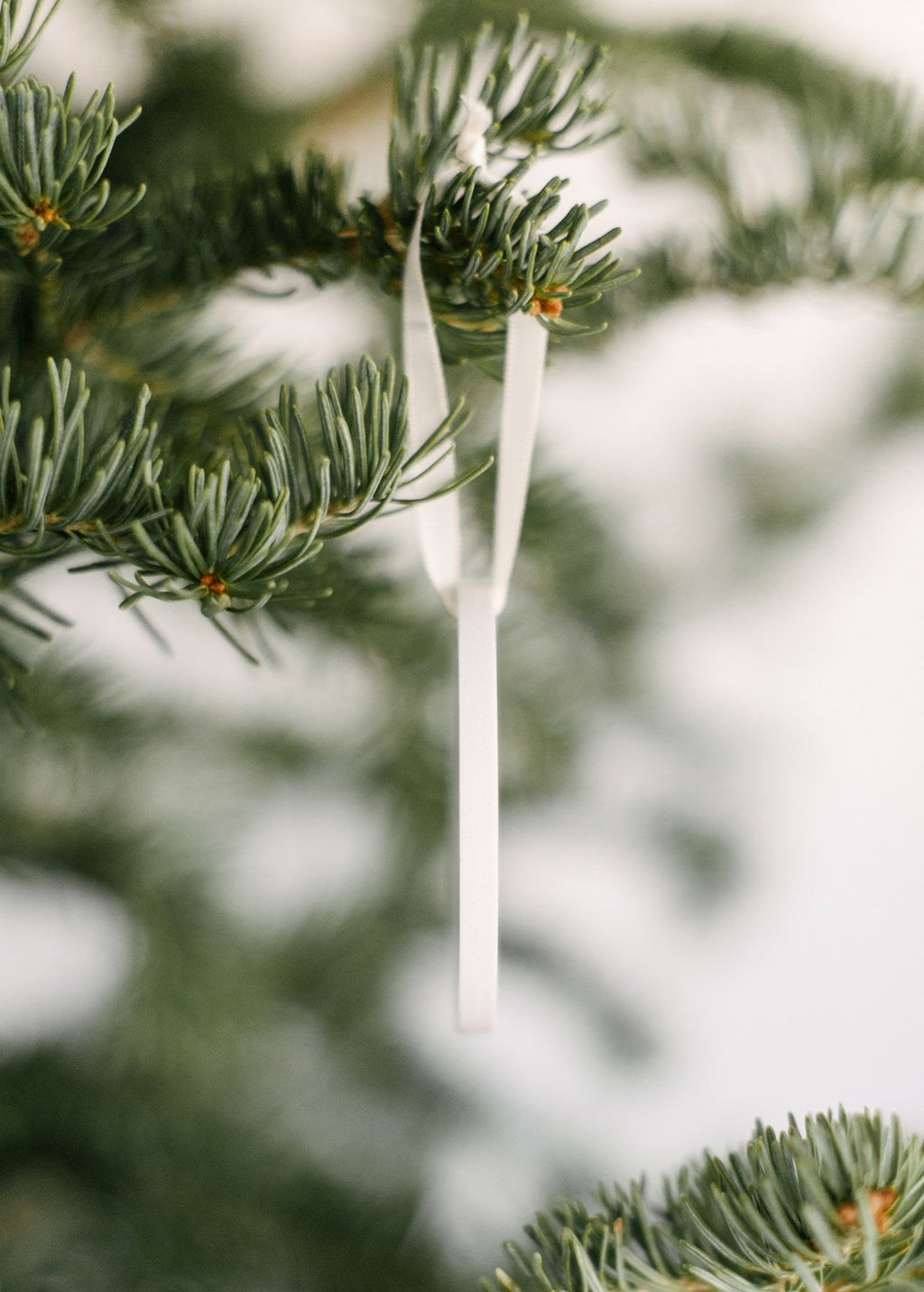 Friendship Is Like Peeing Your Pants Ornament