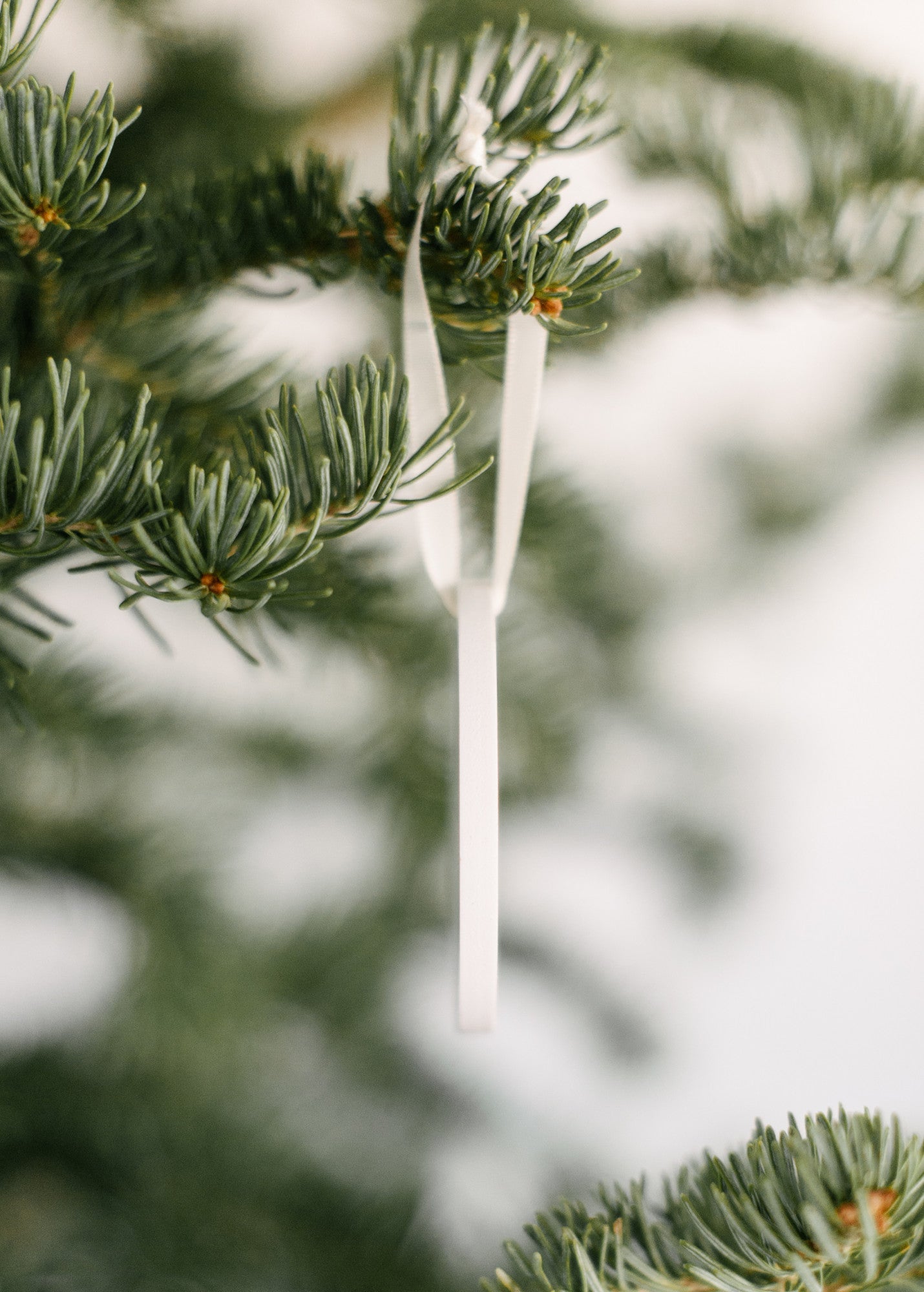 Friendship Is Like Peeing Your Pants Ornament