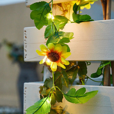 Rattan Lights