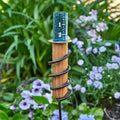 Rain Gauge