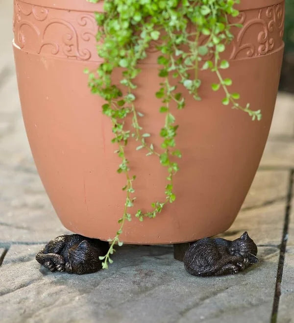 🔥Cute Animal Shaped Pots Feet(🔥set of 3)
