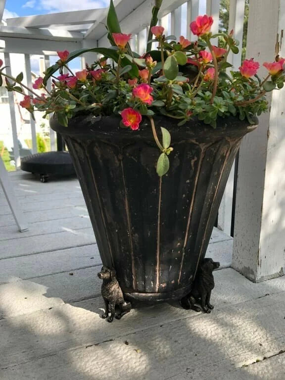 🔥Cute Animal Shaped Pots Feet(🔥set of 3)