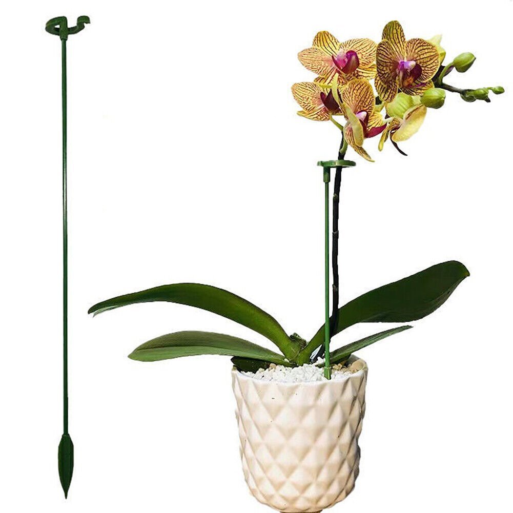 [🎉Summer Sale] Upgrade Fiberglass Plant Support Stake