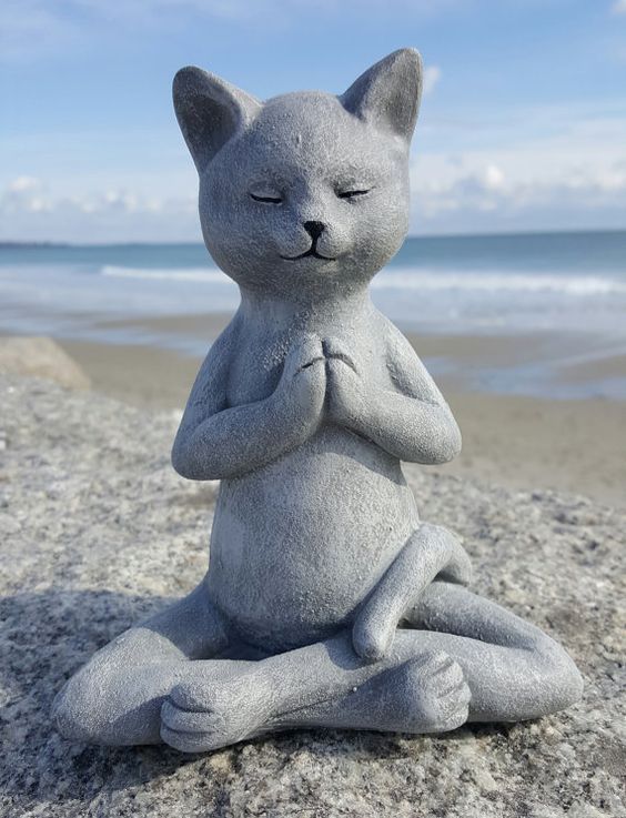 Meditating Sitting French Bulldog