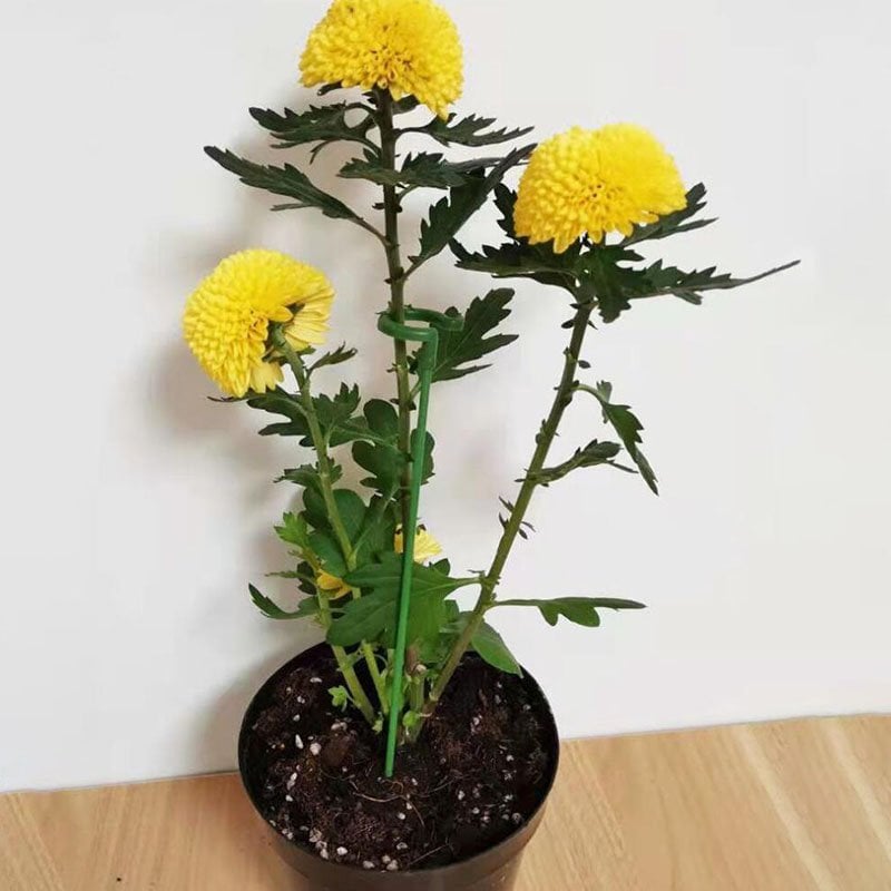 [🎉Summer Sale] Upgrade Fiberglass Plant Support Stake