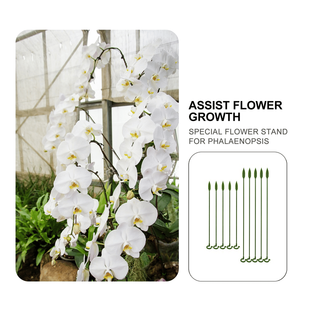 [🎉Summer Sale] Upgrade Fiberglass Plant Support Stake
